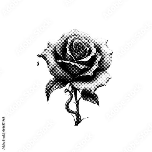 Halloween clipart, spooky illustrations, Halloween graphics, skull and roses, black cat clipart, ghost clipart, creepy pumpkin design, Halloween vector, spooky skull, dark art, bat clipart, devil char