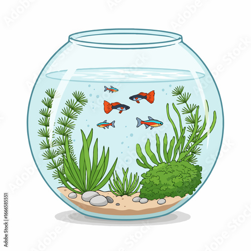 aquarium with fish
