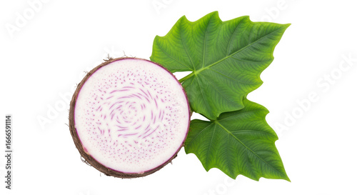 Photos Isolated Taro Root with Leaf