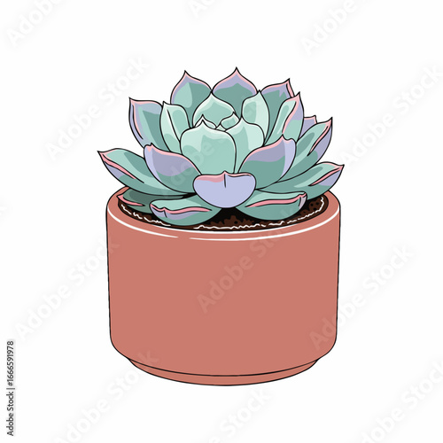 cactus in a pot