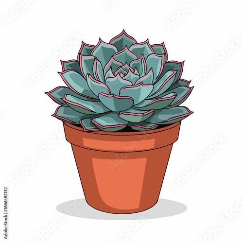 cactus in a pot
