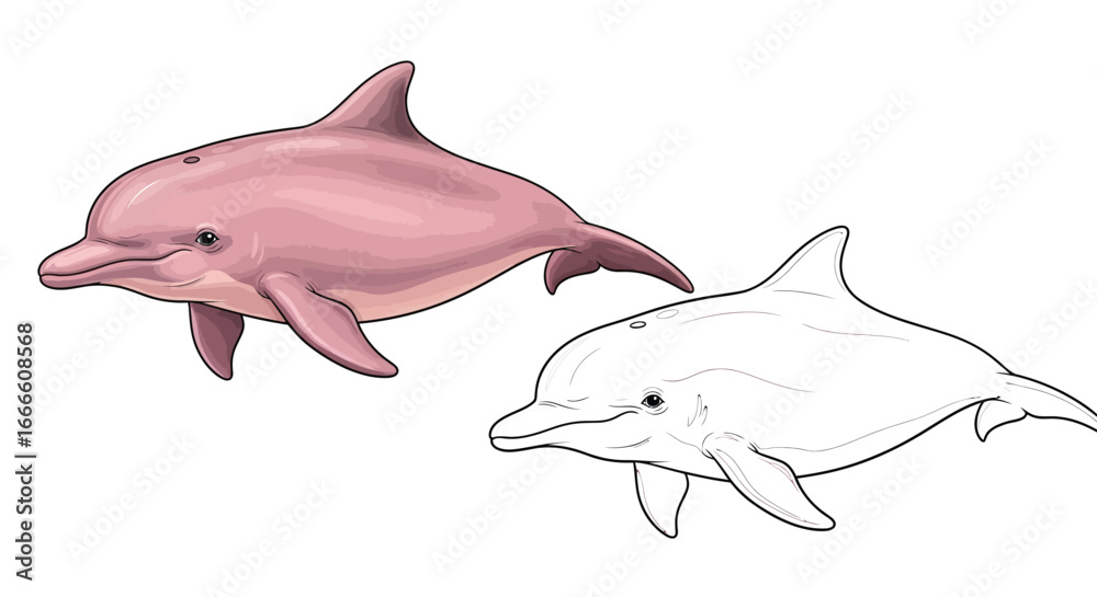 Obraz premium Amazon River Dolphin Mammal Coloring Page with Detailed Outline and Full Color Version
