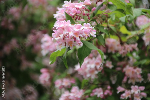 Gemeinsam tut es sich doch besser