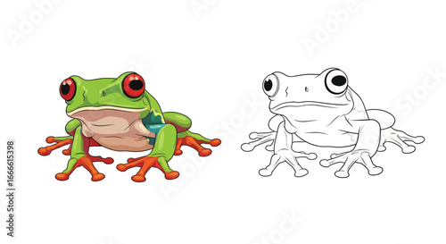 Amazon Tree Frog Coloring Page with Colorful Example and Detailed Line Art Outline