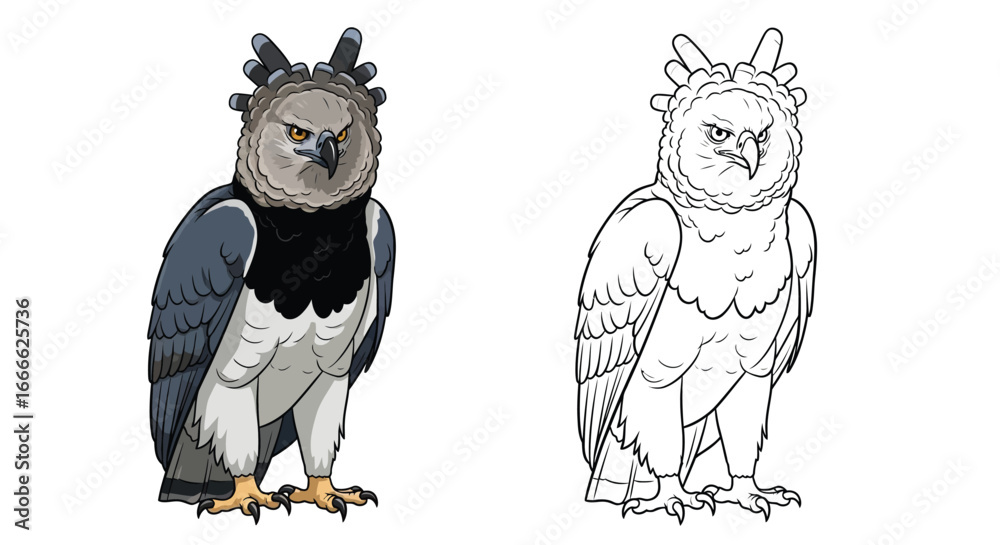 Obraz premium Detailed Harpy Eagle Coloring Sheet with Both a Colored and a Blank Outline Version