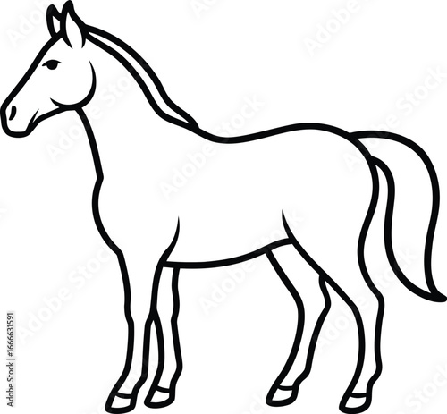 Vector art of a simple black and white line drawing of a horse standing, isolated on a