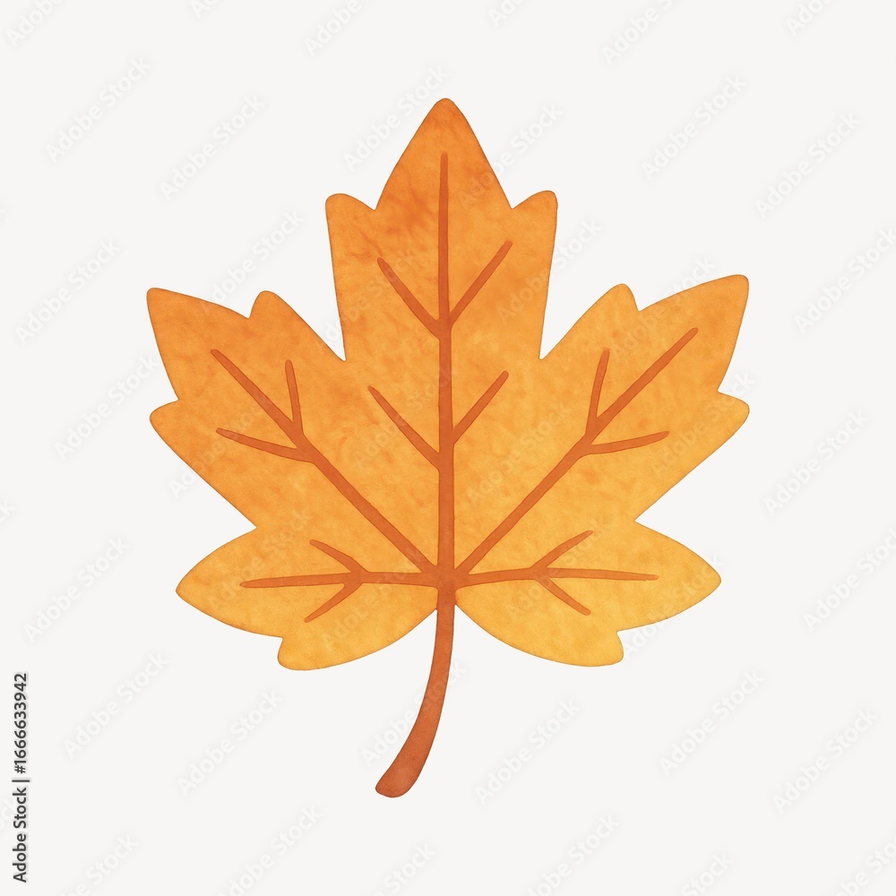 Fototapeta premium Autumn maple leaf illustration.