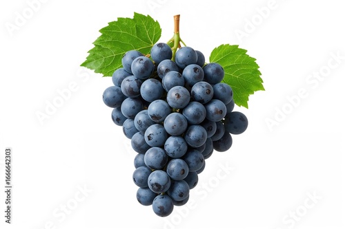 Cluster of blue grapes accompanied by leaves on a white backdrop. Design component featuring clipping path. Complete focus throughout the image.