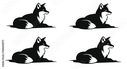 Four black foxes resting side by side with white markings realistic animal design vector