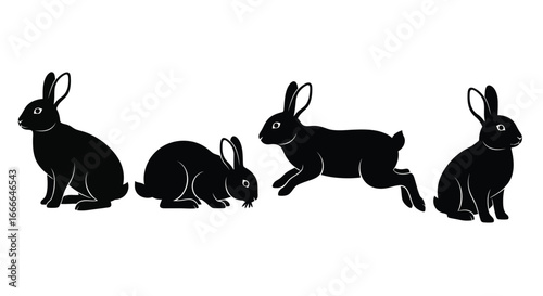 Collection of black rabbits in various poses demonstrating movement and static positions vector