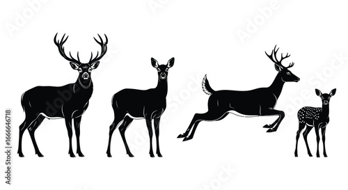 Majestic silhouette deer family stag doe fawn herd isolated wildlife vector