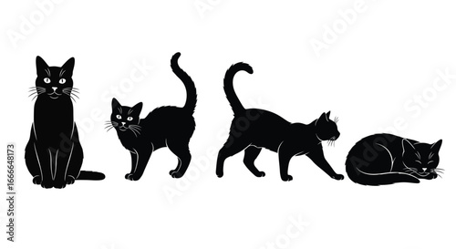 Majestic black cats in various poses silhouetted against white showing graceful movement and restful calm vector