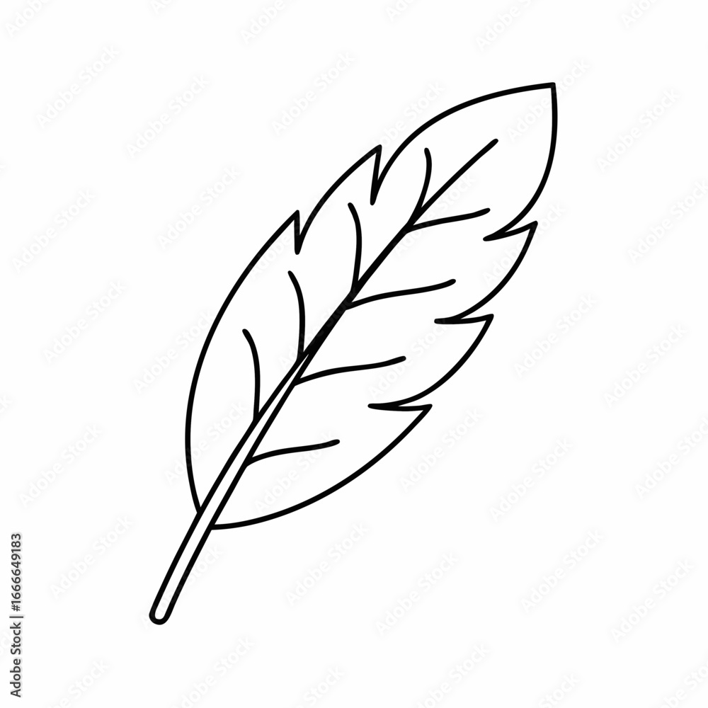 Obraz premium Sage Leaf Vector Outline
