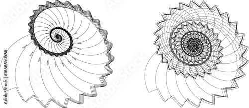 Yin Yang Spirals Abstract Duality in Fluid and Geometric Motion.