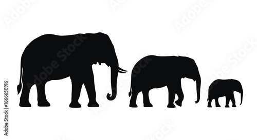 Family silhouette of african elephants walking together majestic majestic wildlife vector