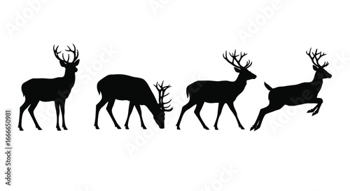 Majestic deer silhouettes in various poses demonstrating movement and graceful stance vector