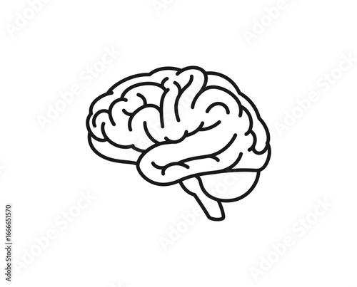 Human brain ,mind ,thinking, dea, knowledge, memory icon representing intelligence isolated on white background