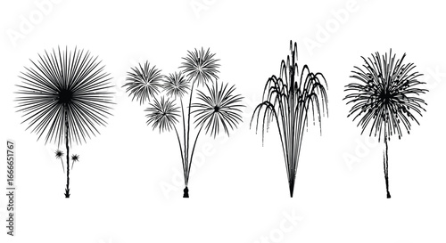 Four distinct types of black and white fireworks exploding in the sky creating beautiful light displays vector