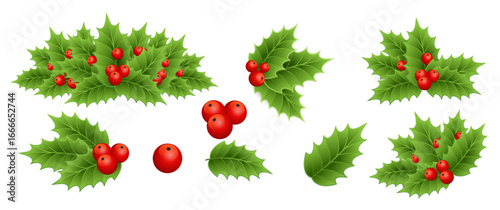 Holly berry colorful vector border