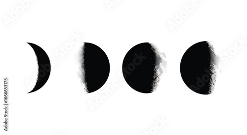 Celestial phases of the moon depicting lunar cycle stages against a clean vector