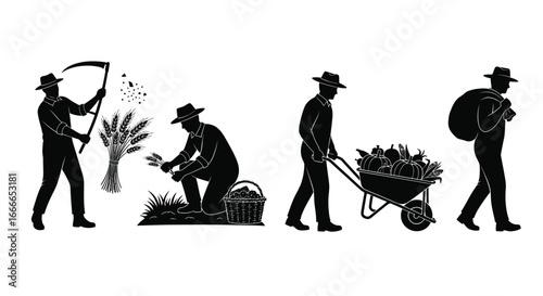 Silhouettes of farmers harvesting wheat illustrating the agricultural process from field to storage vector