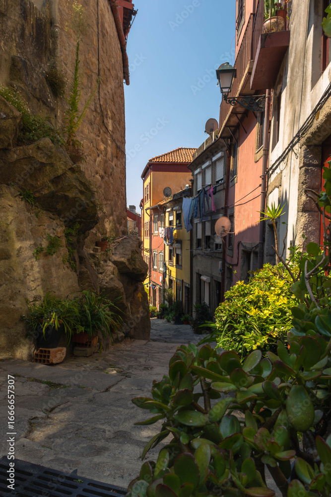 Fototapeta premium narrow street in the old town