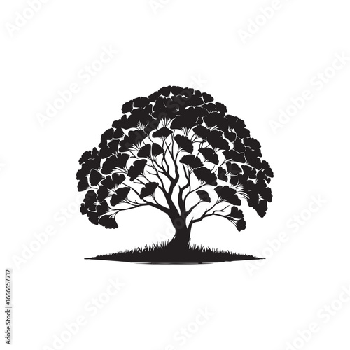 Ginkgo Biloba Tree Silhouette Vector Design.