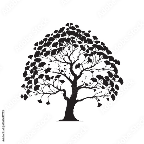 Ginkgo Biloba Tree Silhouette Vector Design.