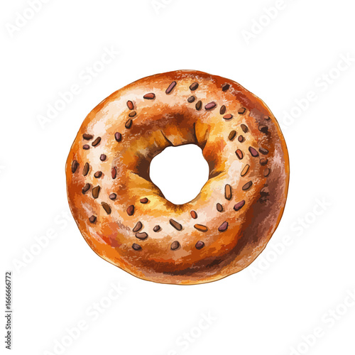 bagel hand drawn illustration