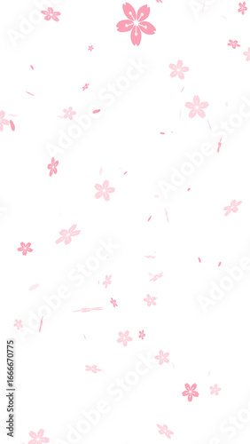 Falling pink cherry blossom flowers and petals in a beautiful descent. Japanese sakura in an illustrative, anime style. Ideal for spring, romantic, and nature themes. With transparent background.