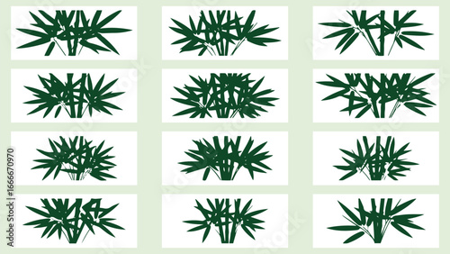 Collection of twelve distinct green bamboo plant illustrations with detailed leafy fronds and segmented stalks isolated on transparent background