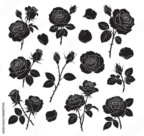 Collection of detailed black ink floral illustrations featuring various stages of rose blossoms and petals isolated on transparent background
