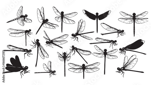 Collection of diverse dragonfly silhouettes in various flying and perched poses isolated on transparent background for artistic design elements