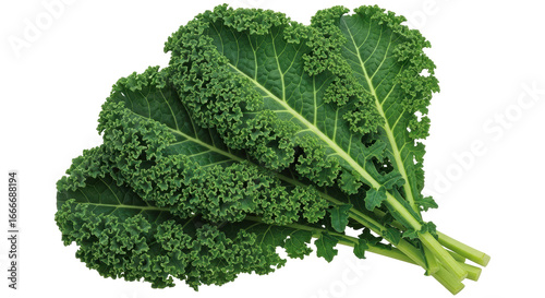 Photos Isolated Kale Leaves Bunch