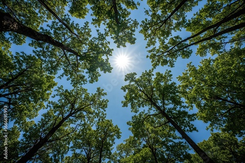 An amazing perspective look...