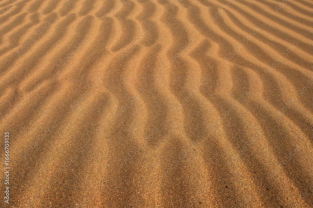 Detailed view of wavy sand formations illuminated by warm sunlight, showcasing complex undulating shapes with a few green sprouts rising from the smooth surface. Detailed view of wavy sand formations illuminated by warm sunlight, showcasing complex undulating shapes with a few green sprouts rising from the smooth surface.