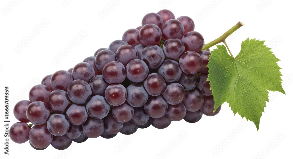 Fototapeta premium Isolated Red Globe Grapes Bunch