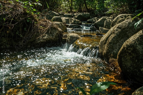 A gentle brook cascades ove...