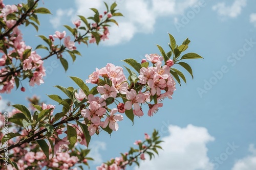 A stunning branch covered i...