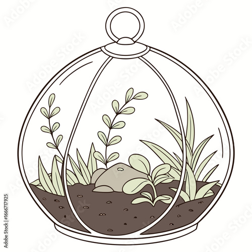 Charming hand drawn illustration of a delicate glass terrarium filled with small plants and rocks