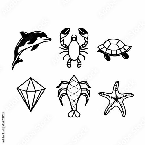 Set of marine animals such as dolphin, lobster, turtle, mantis shrimp and starfish