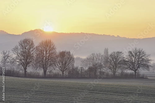 Meadows and trees in the early morning mist in the light of the rising sun, Reusstal, Aristau, Freiamt, Canton Aargau, Switzerland