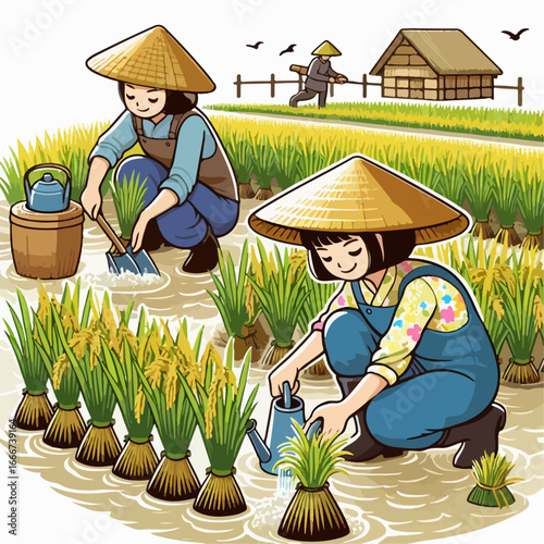 vector illustration of farmers planting rice