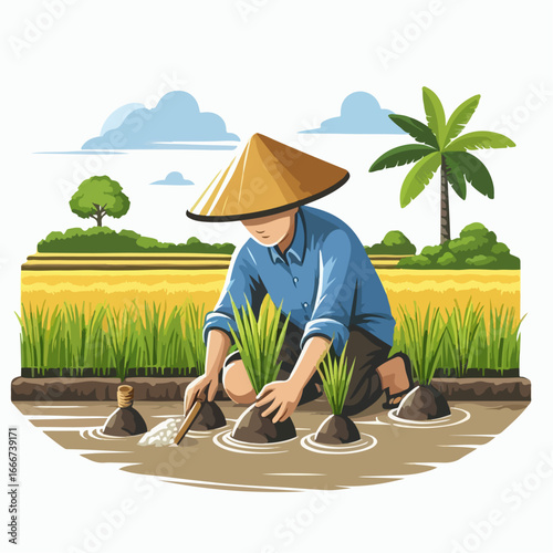 vector illustration of farmers planting rice