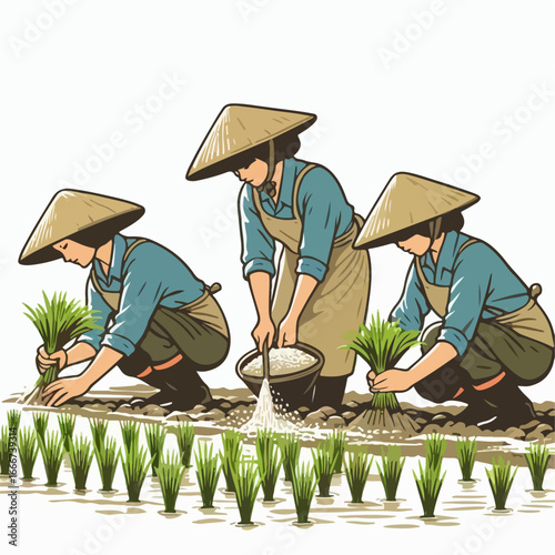 vector illustration of farmers planting rice