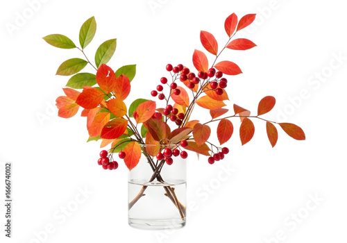 Wallpaper Mural Vibrant autumn foliage in a white ceramic vase capturing the essence of fall colors transparent background Torontodigital.ca