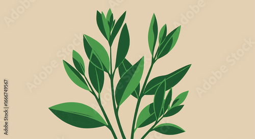 Clean, minimalist illustration of vibrant green leaves on a plant stem, representing natural growth