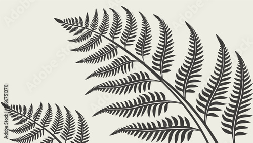 Fern Fronds with Textured Background and Copy Space