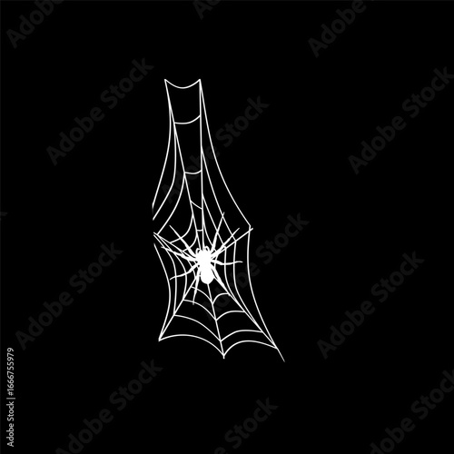 Mysterious Spider's Web: A minimalist artistic rendering showcases a spider suspended on its intricate web, evoking curiosity and the essence of quiet, still nights.