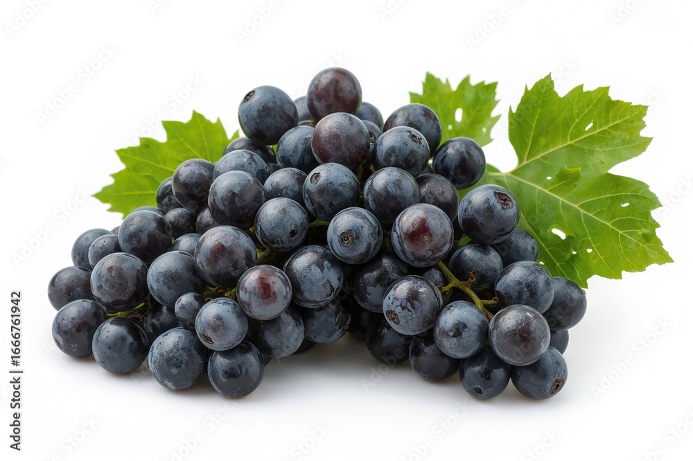 Fototapeta premium Assortment of Black Grapes with Foliage, Set Against a White Backdrop